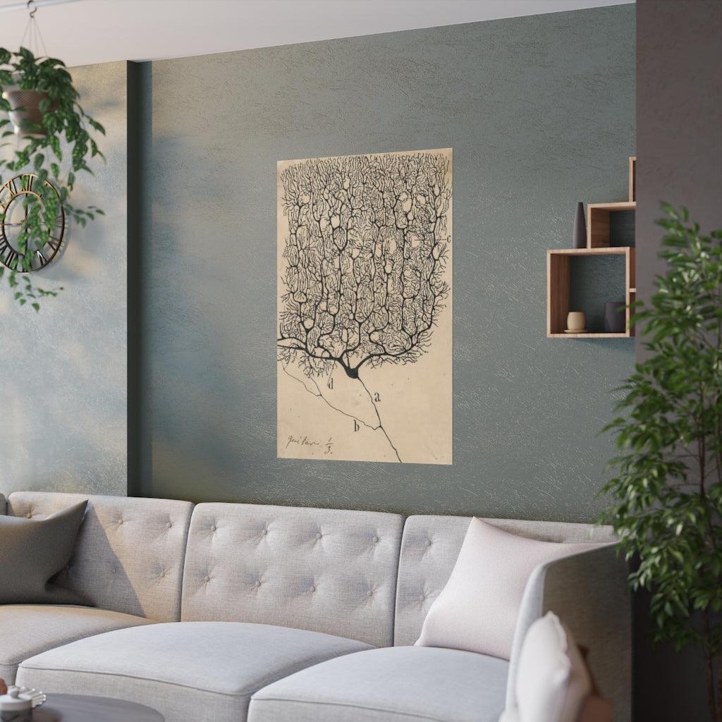 Neuron Drawing By Santiago Ramón Y Cajal Print Poster - Art Unlimited