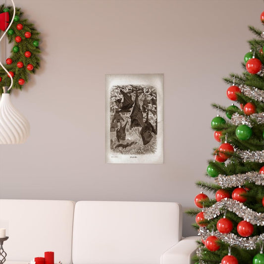 Vintage Bat Illustration - Natural History - Chiroptera Print Poster - Art Unlimited