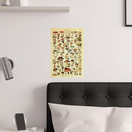 Adolphe Millot Mushrooms Print Poster - Art Unlimited