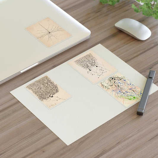 Santiago Ramón Y Cajal Neuron Drawing Sticker Sheet - Art Unlimited