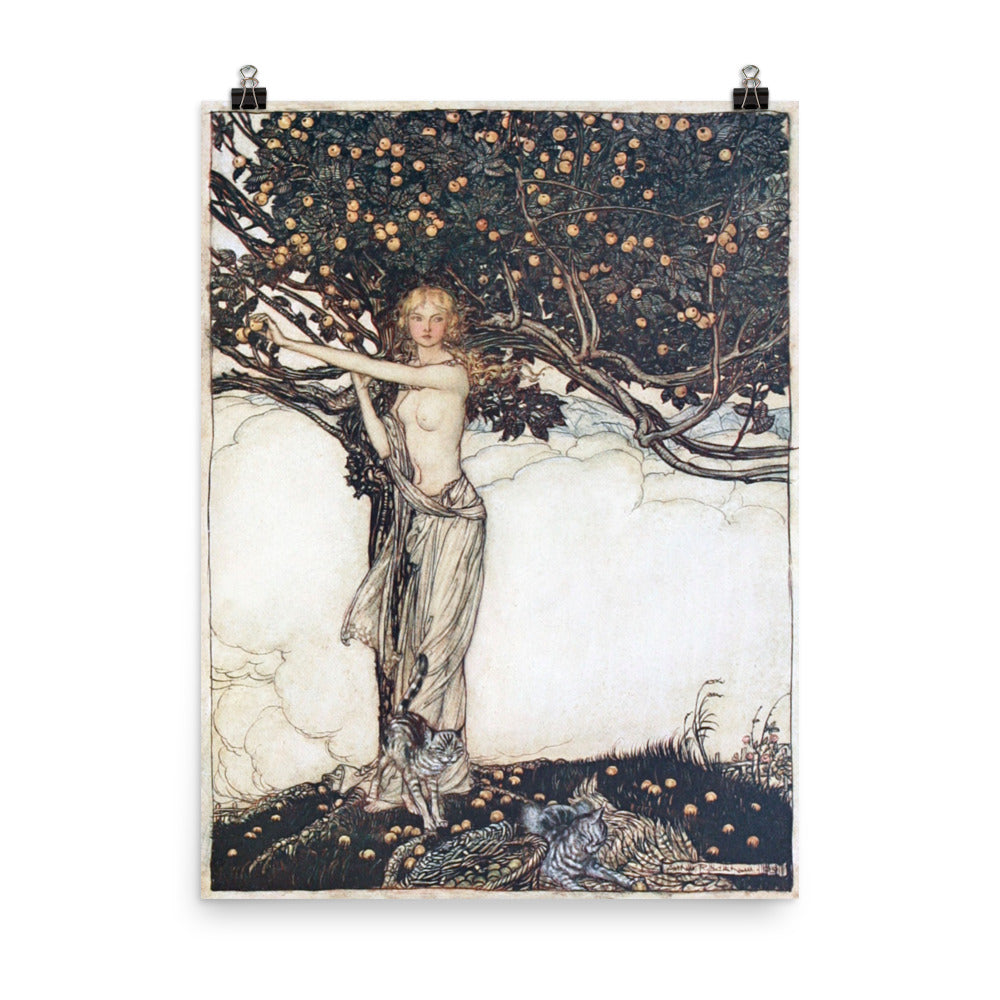 Arthur Rackham - Idun - Freya The Fair One Print Poster