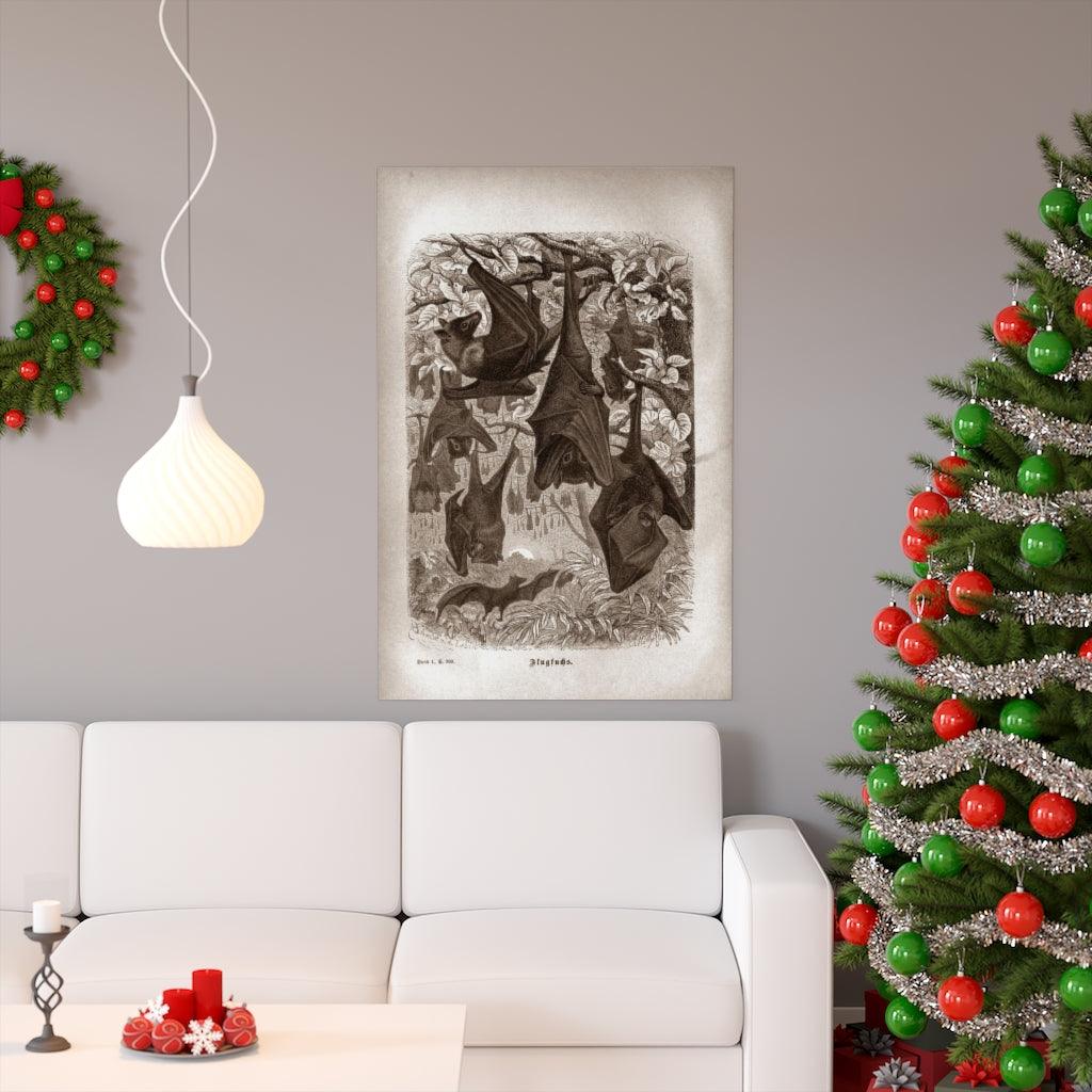 Vintage Bat Illustration - Natural History - Chiroptera Print Poster - Art Unlimited