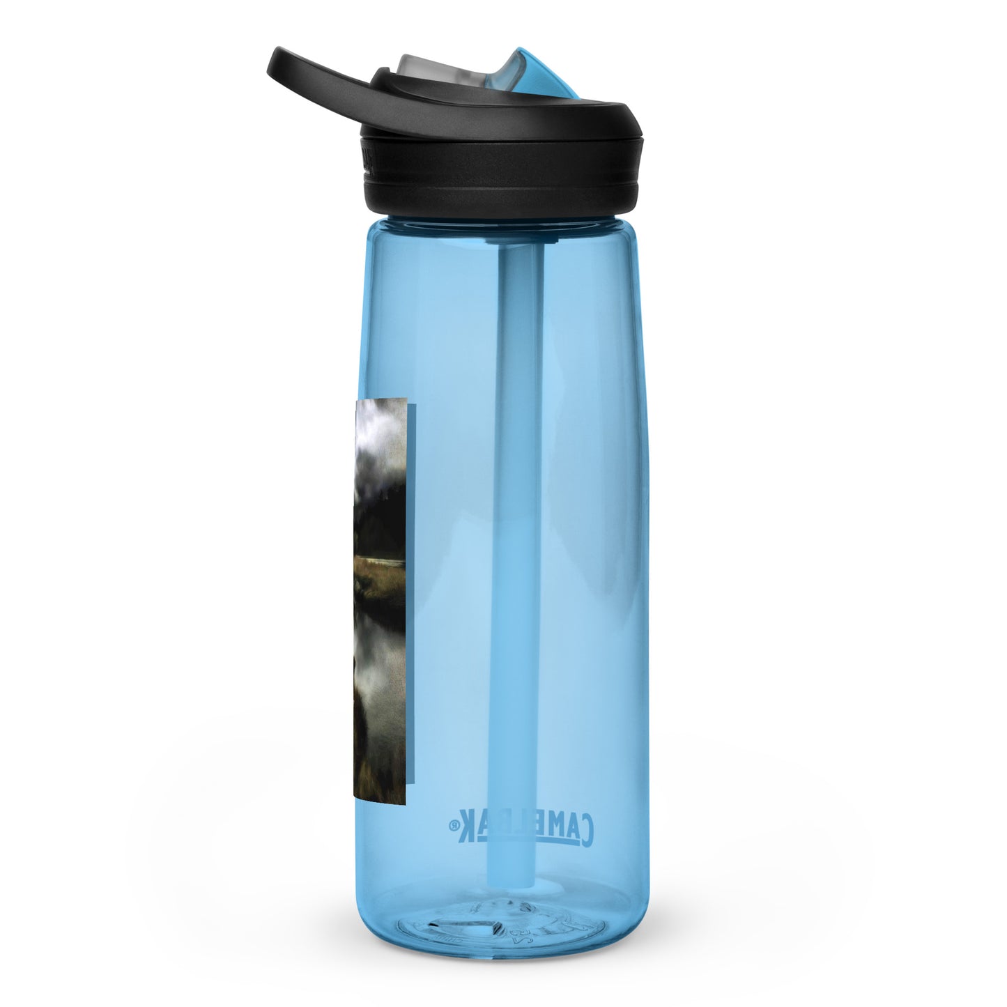 Sports water bottle