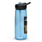 Sports water bottle