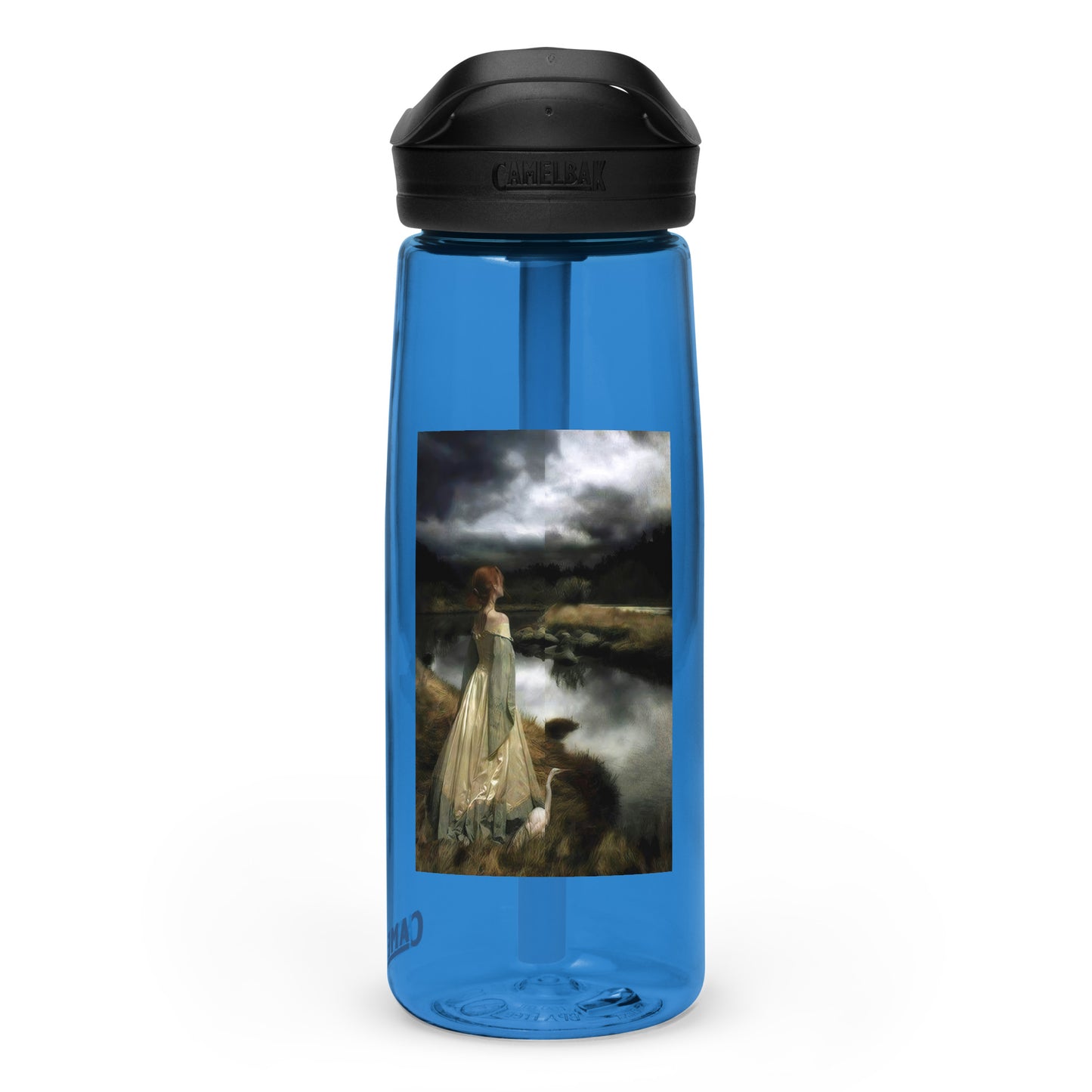 Sports water bottle