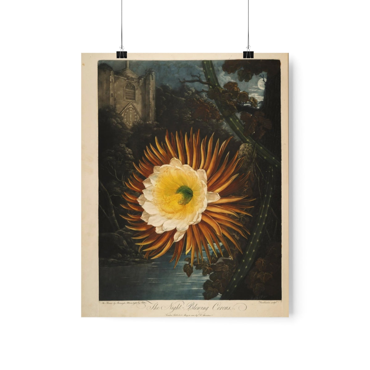 Temple Of Flora - The Night Blowing Cereus Print Poster