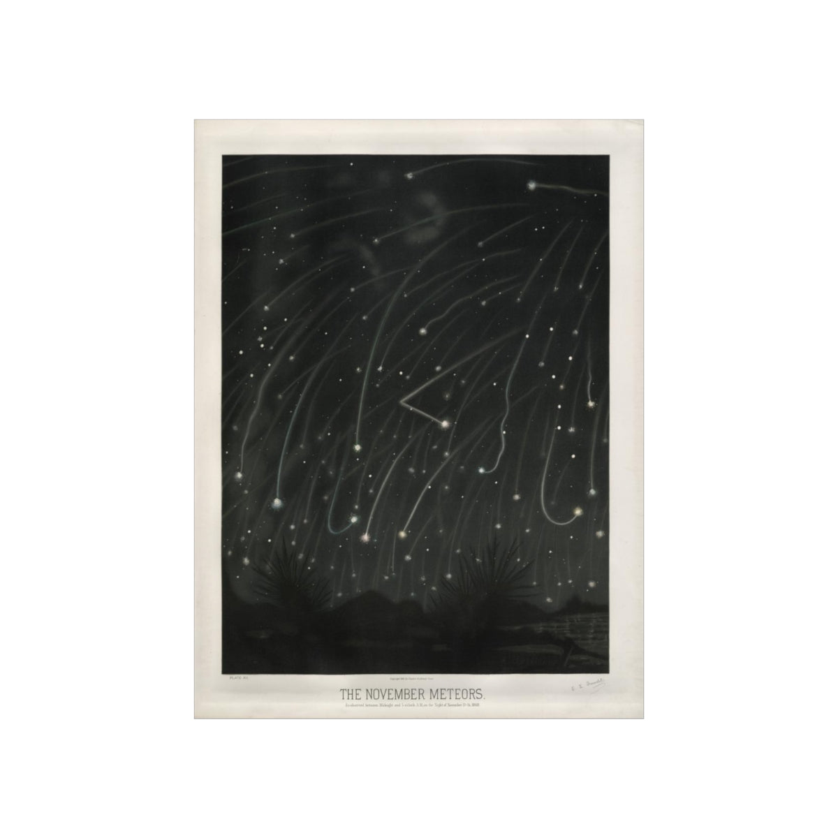 Etienne Leopold Trouvelot - The November Meteors The Trouvelot Astronomical Drawings 1882 Print Poster