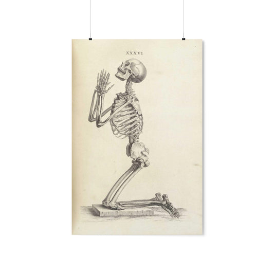 William Cheselden - Side View Of A Praying Skeleton Print Poster