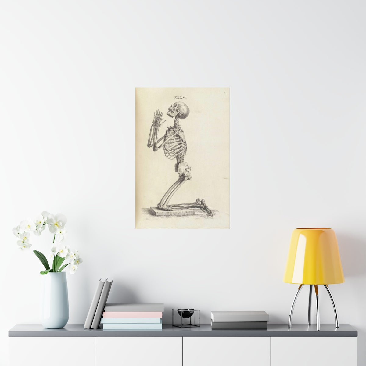 William Cheselden - Side View Of A Praying Skeleton Print Poster