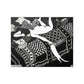 Cat Felix Vallotton Lady Bed Laziness Black White La Paresse Fine Art Print Poster