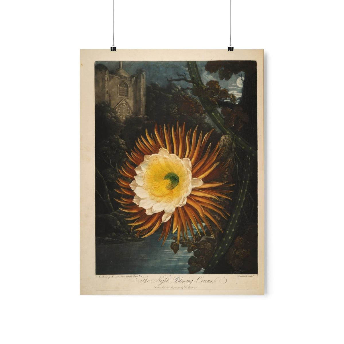 Temple Of Flora - The Night Blowing Cereus Print Poster