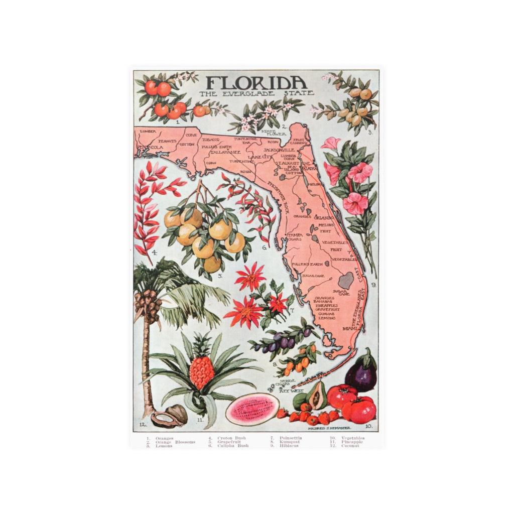 Vintage Florida Map 1917 Vegetation Illustrative Atlas Print Poster - Art Unlimited