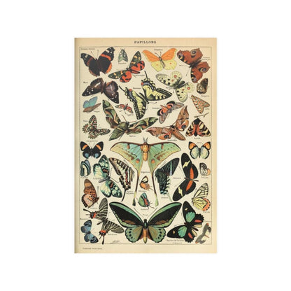 Adolphe Millot Papillons Pour Tous Print Poster - Art Unlimited