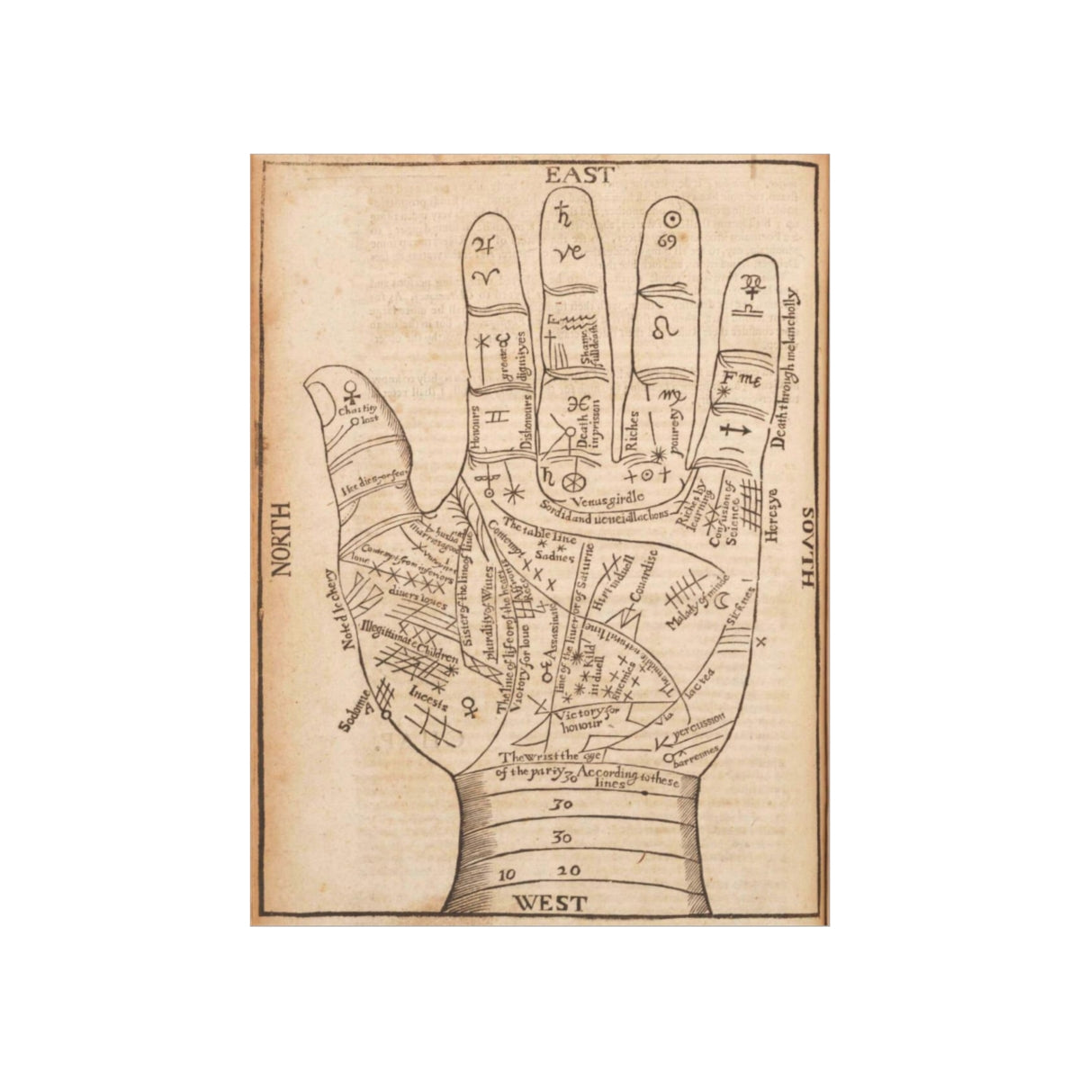 Richard Saunders - Palmistry/Chiromancy Chart 1653 Print Poster