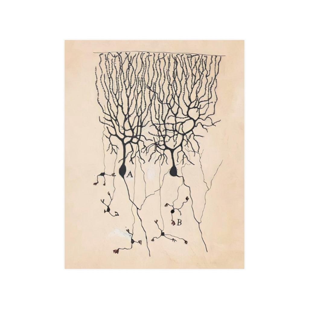 Vintage Neuron Drawing By Santiago Ramon Y Cajal Print Poster - Art Unlimited