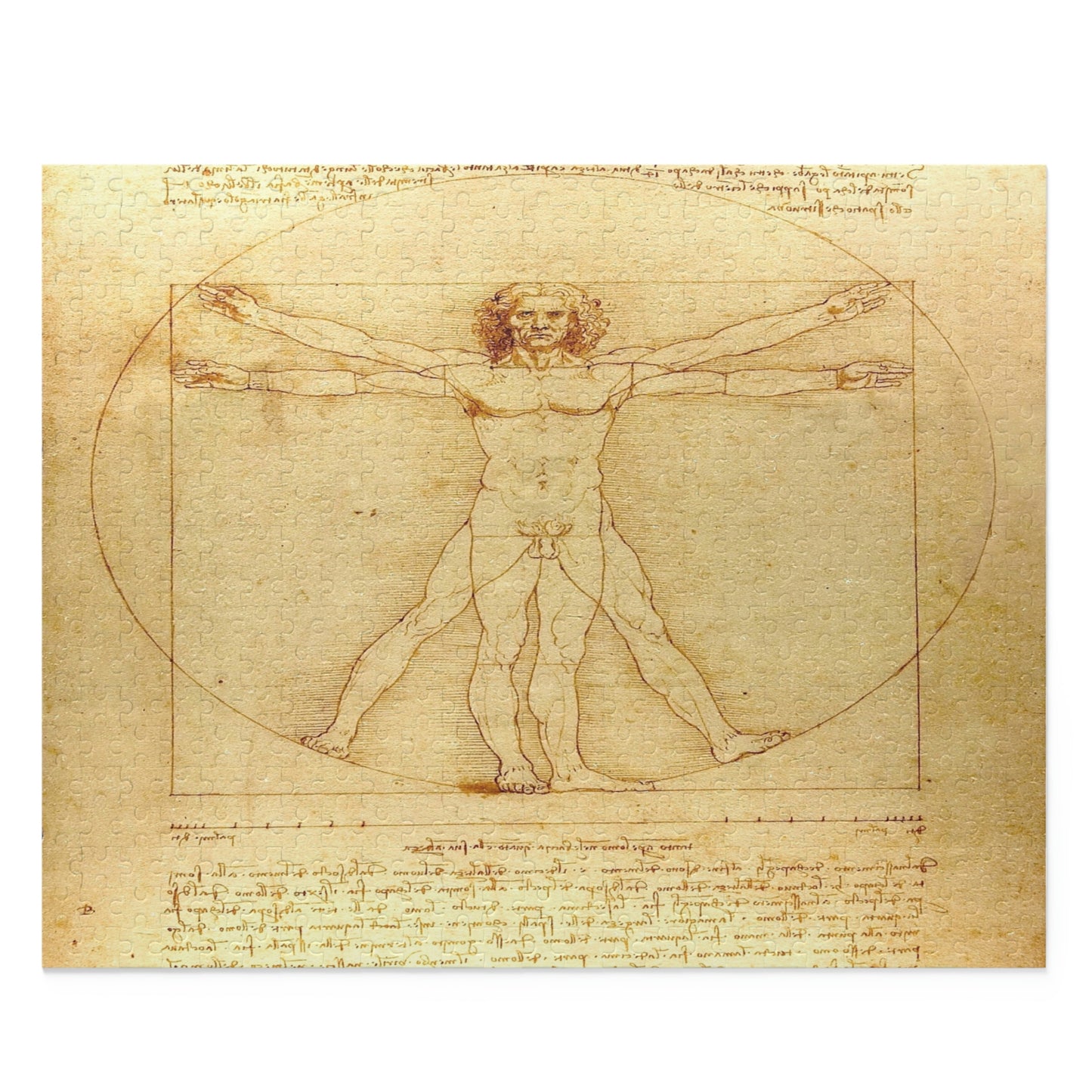 Vitruvian Man by Leonardo Da Vinci Puzzle