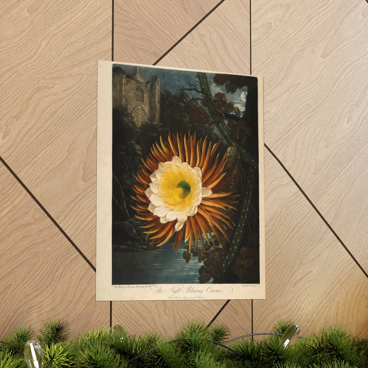 Temple Of Flora - The Night Blowing Cereus Print Poster