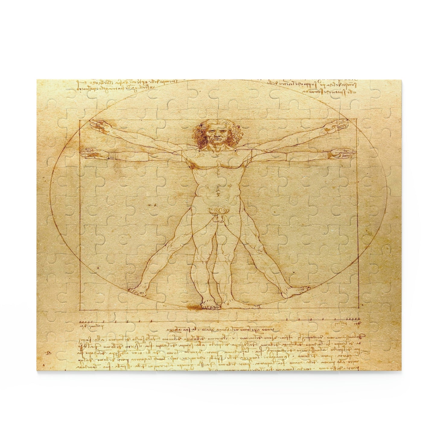 Vitruvian Man by Leonardo Da Vinci Puzzle