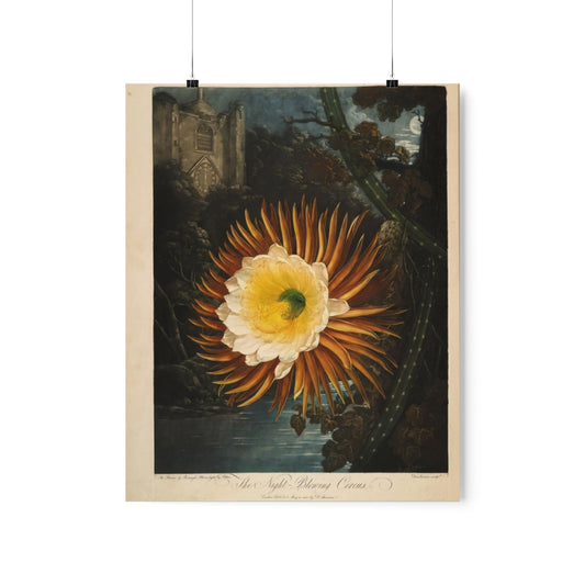 Temple Of Flora - The Night Blowing Cereus Print Poster