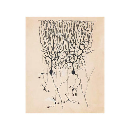 Vintage Neuron Drawing By Santiago Ramon Y Cajal Print Poster - Art Unlimited