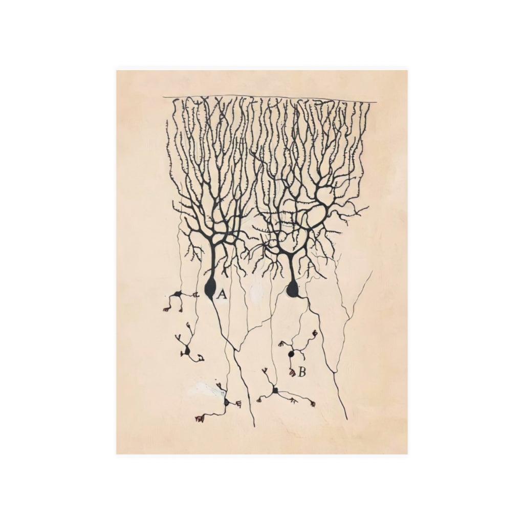 Vintage Neuron Drawing By Santiago Ramon Y Cajal Print Poster - Art Unlimited