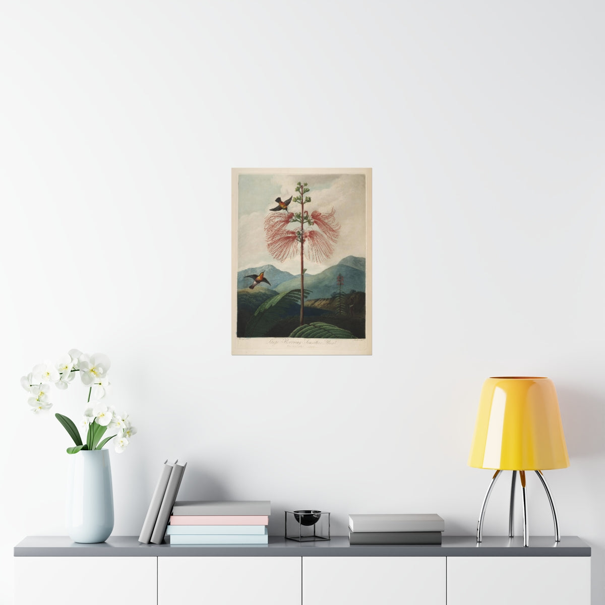 Temple Of Flora - Large Flowering Sensitive Plant Print Poster