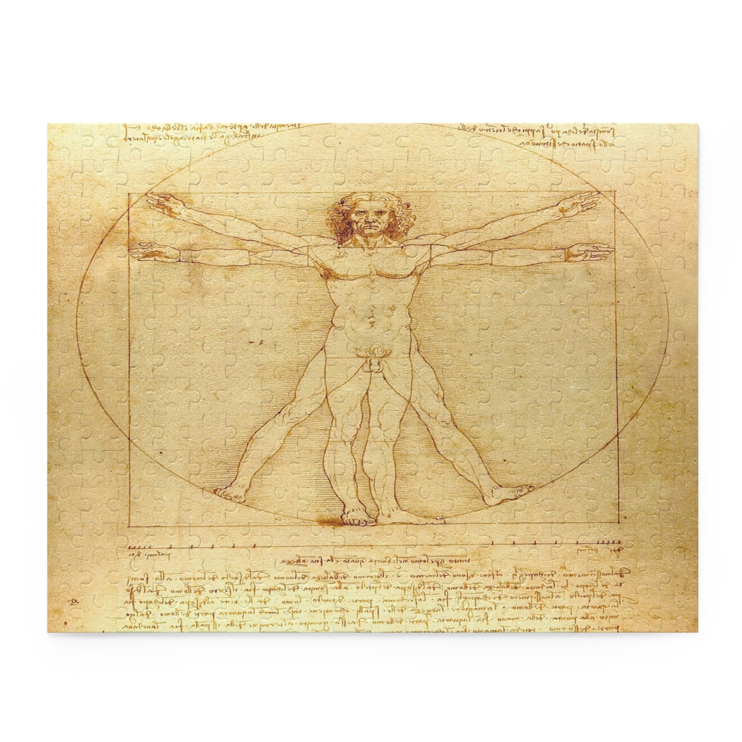 Vitruvian Man by Leonardo Da Vinci Puzzle