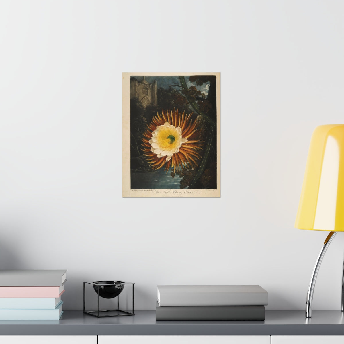 Temple Of Flora - The Night Blowing Cereus Print Poster