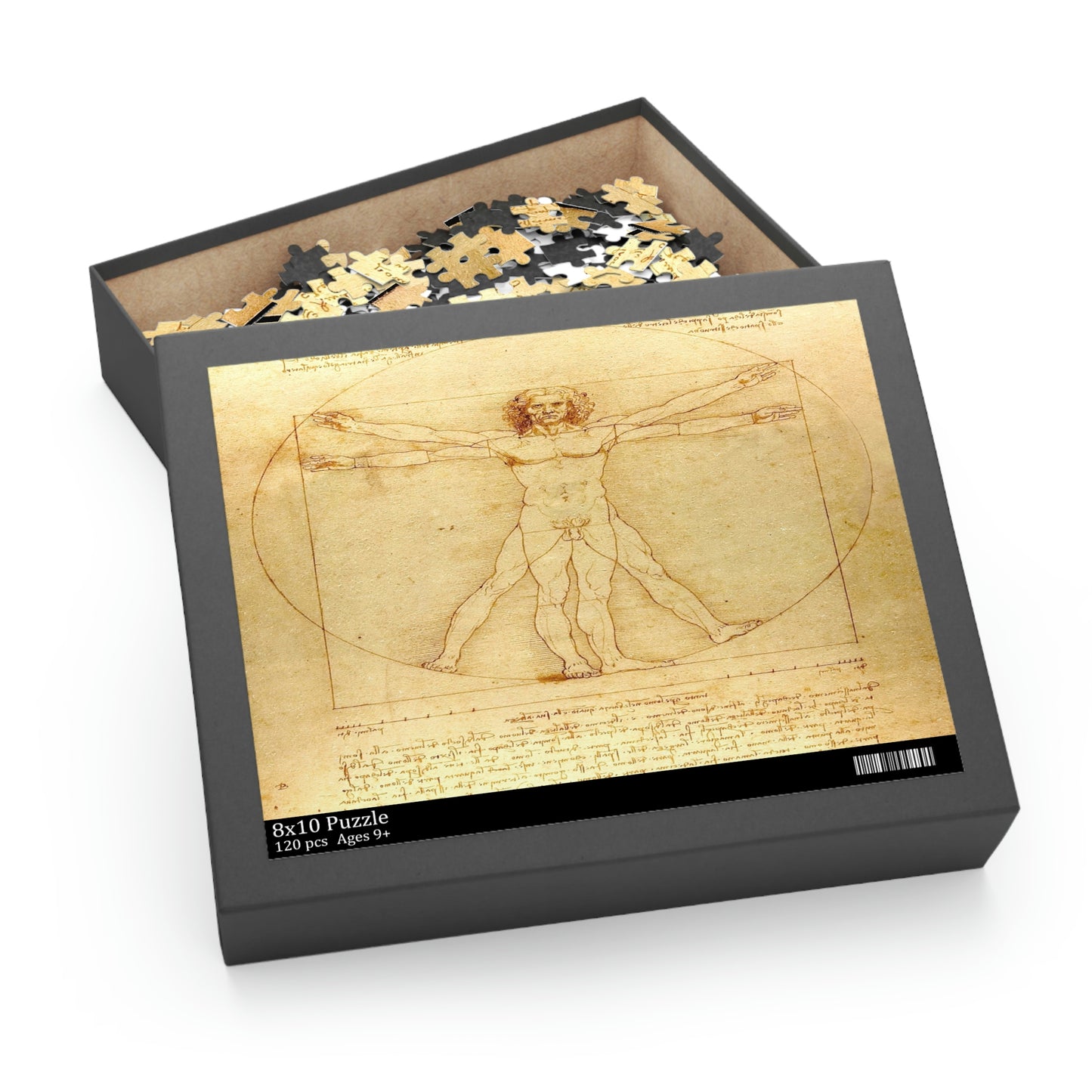 Vitruvian Man by Leonardo Da Vinci Puzzle