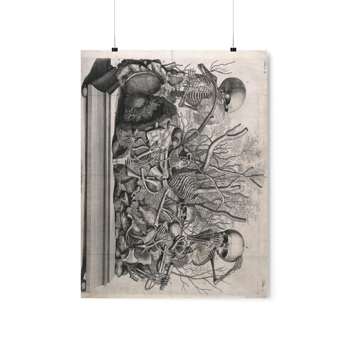 Frederik Ruysch Diorama Of Fetal Skeletons Arranged With Various Internal Organs Print Poster