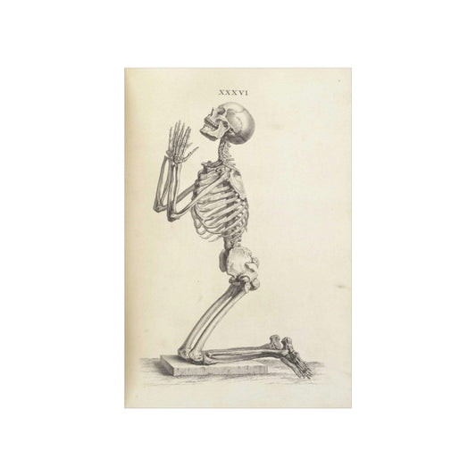 William Cheselden - Side View Of A Praying Skeleton Print Poster