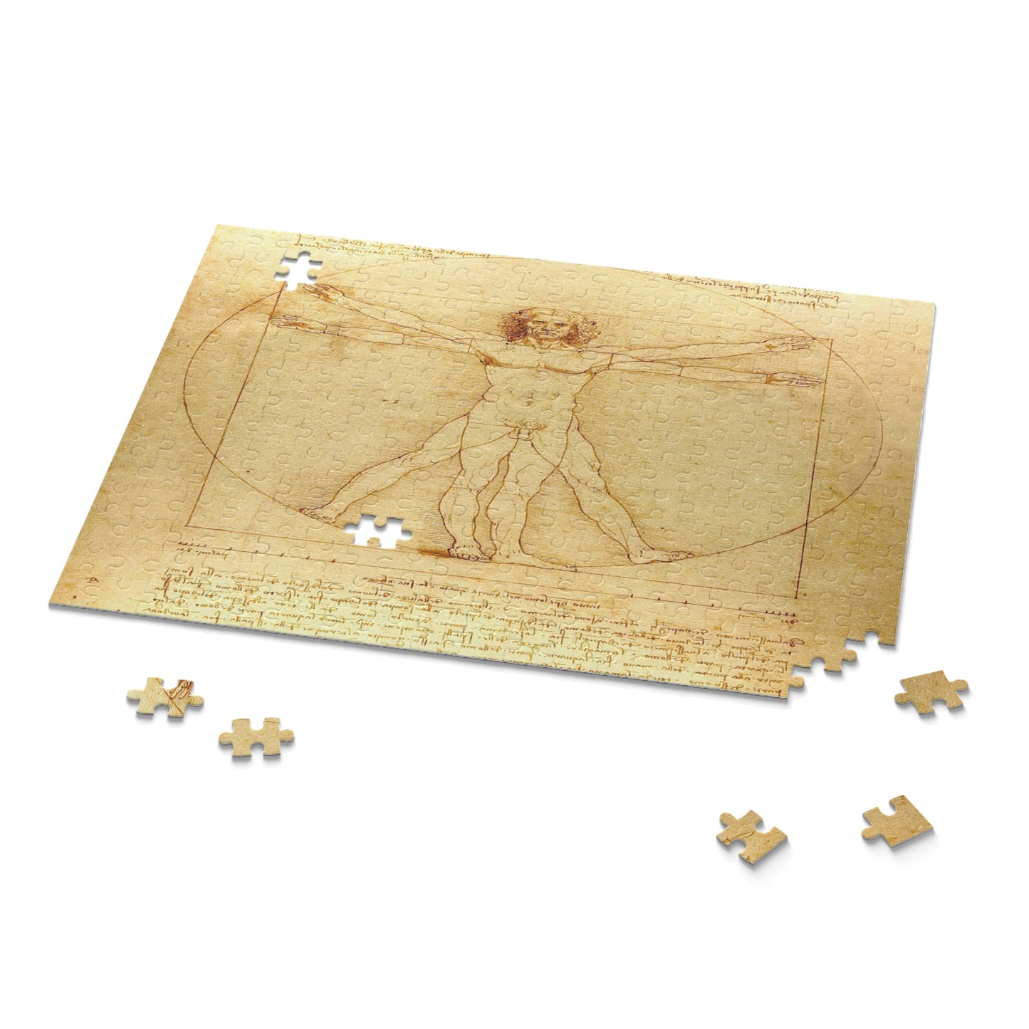 Vitruvian Man by Leonardo Da Vinci Puzzle