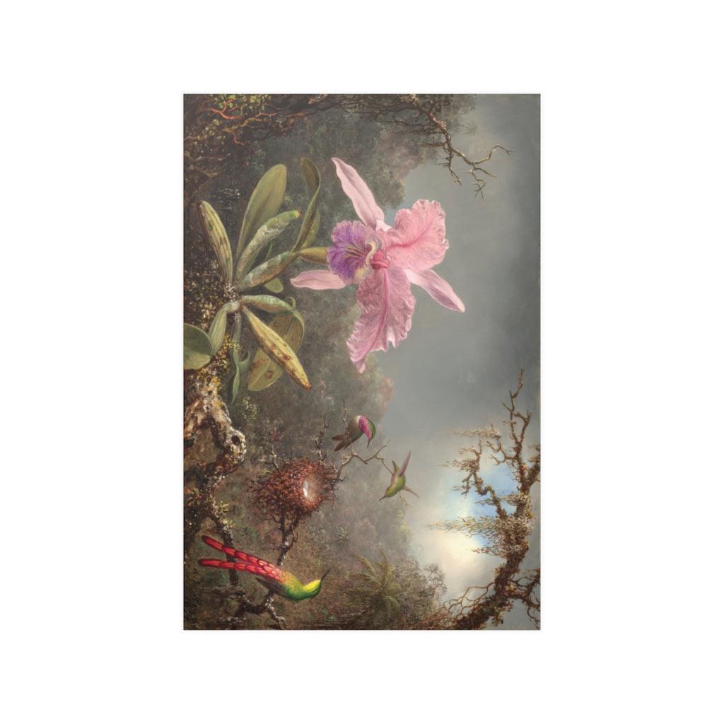 Cattleya Orchid And Three Hummingbirds 1871 By Martin Johnson Heade Print Poster - Art Unlimited