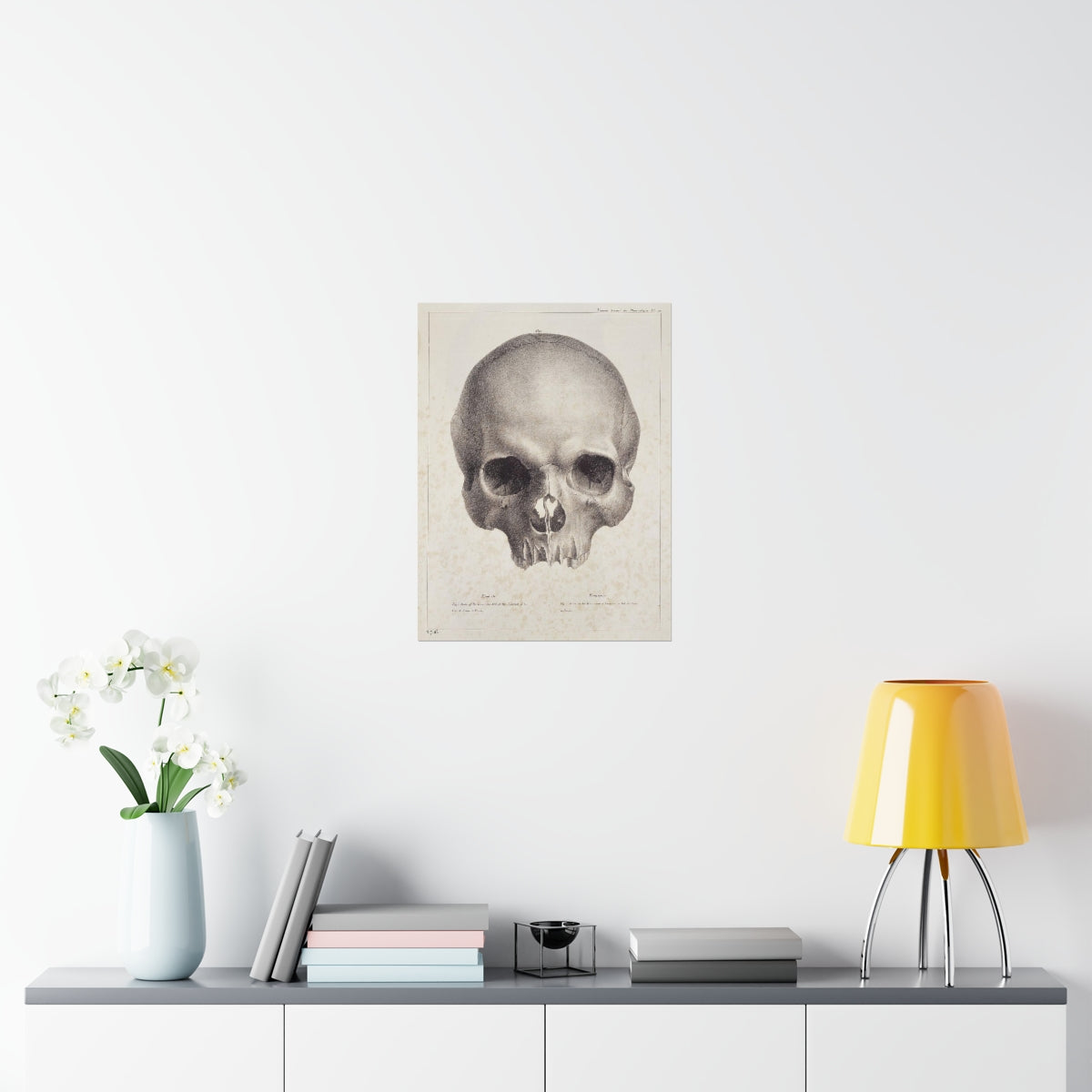 Joseph Vimont - Human Skull Print Poster