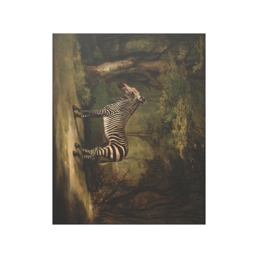 Zebra By George Stubbs 1763 Print Poster - Art Unlimited