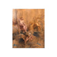 The Holy Trinity Peter Paul Rubens Print Poster