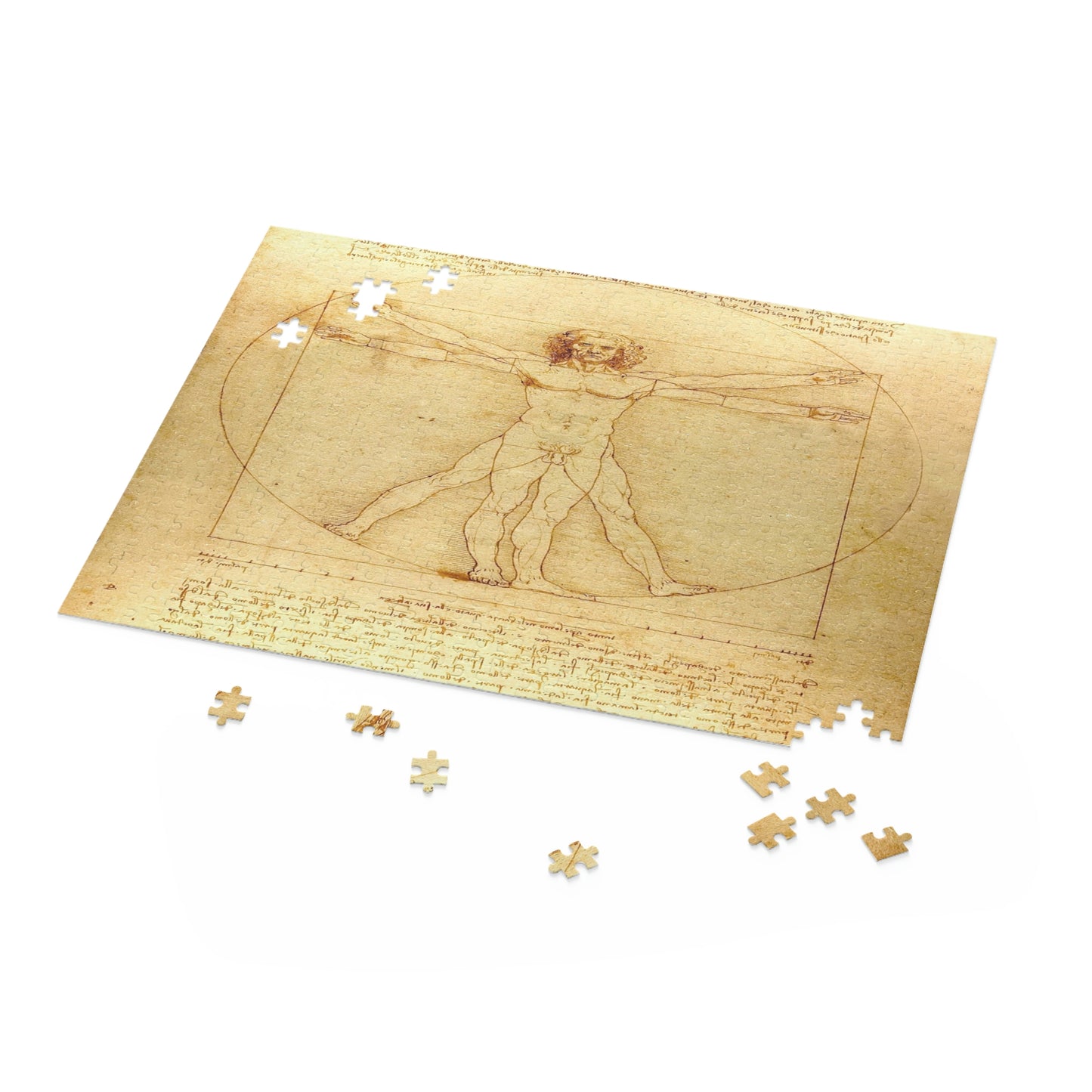 Vitruvian Man by Leonardo Da Vinci Puzzle