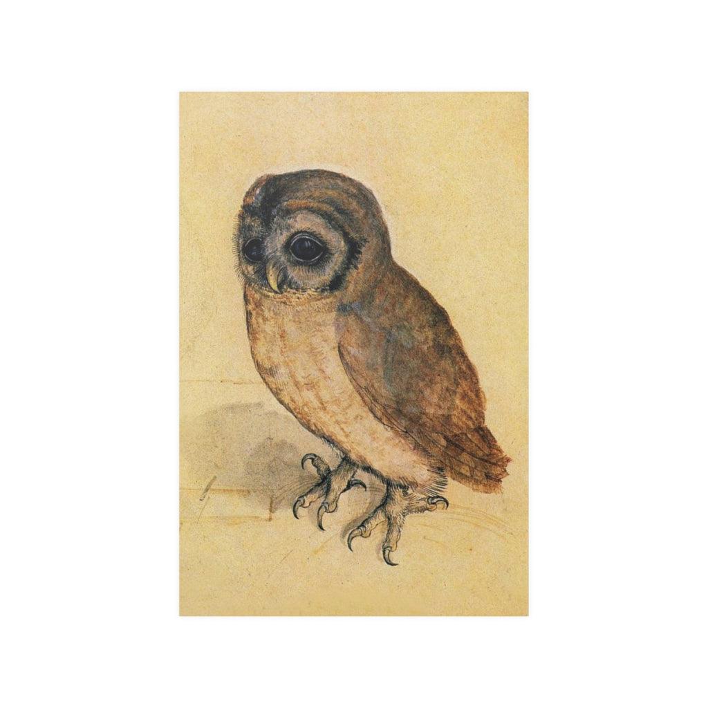 The Little Owl Albrecht Durer Poster Print - Art Unlimited