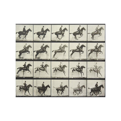 Eadweard Muybridge Vintage Motion Study Jumping Horse Print Poster - Art Unlimited