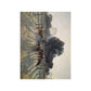 Elioth Gruner - Spring Frost Print Poster - Art Unlimited