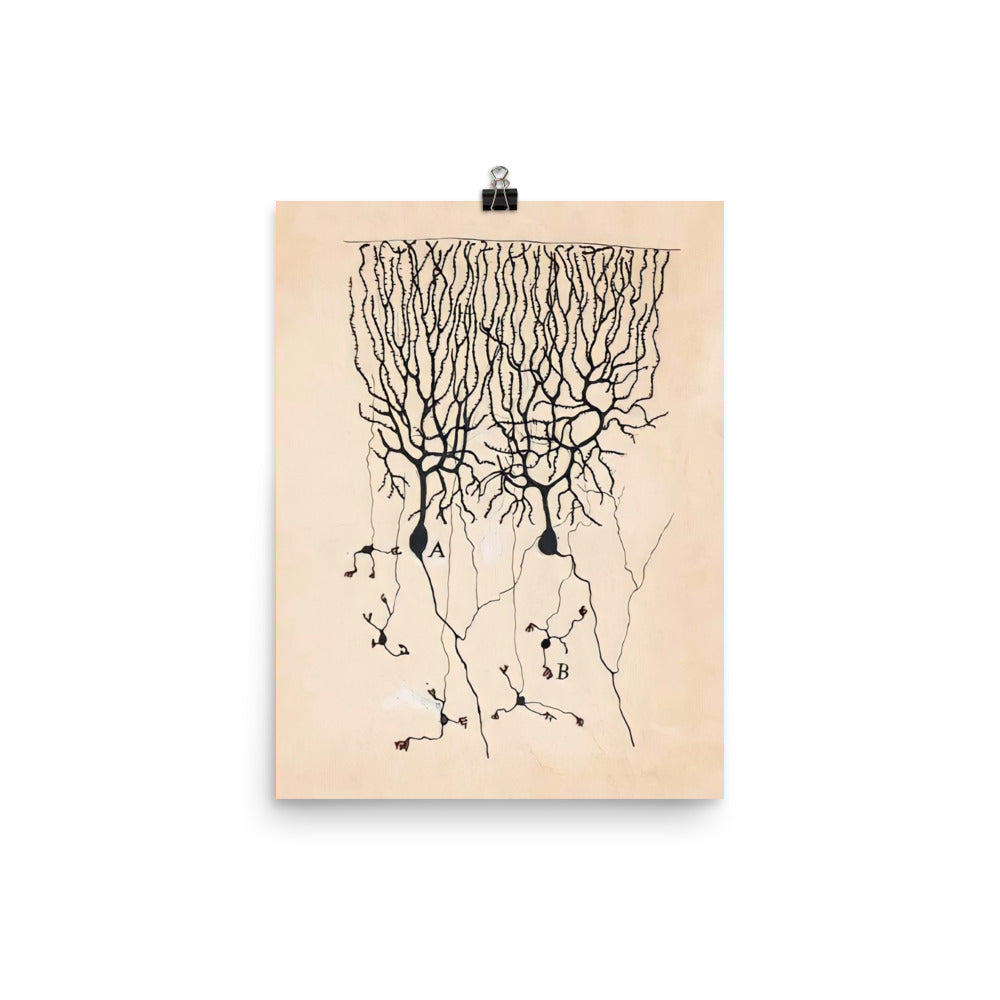 Vintage Neuron Drawing By Santiago Ramón y Cajal