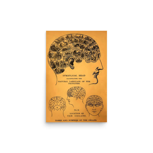 Vintage Phrenology Head Brain Map Chart Print Poster