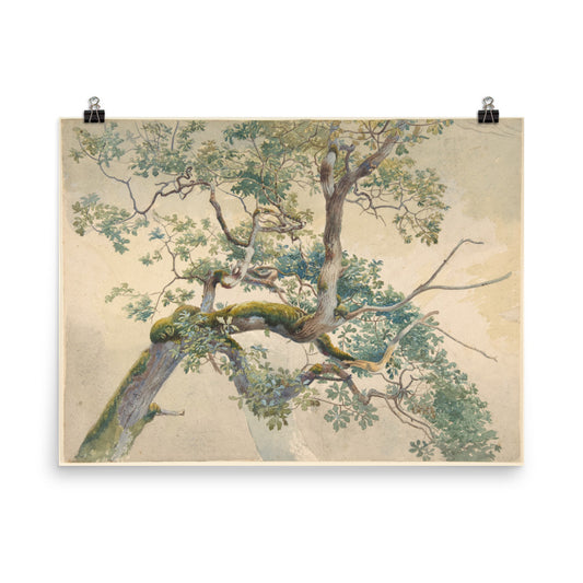 Tree Branches 1852–1908 Charles Reginald Aston Print Poster