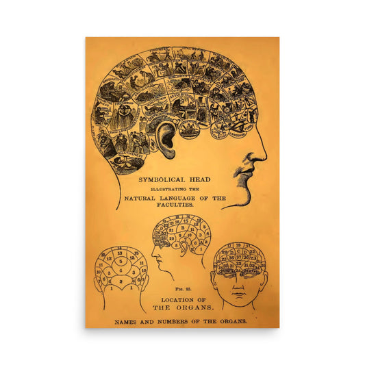 Vintage Phrenology Head Brain Map Chart Print Poster