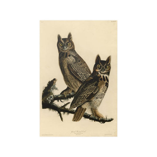 Great Horned Owl Birds Of America By John James Audubon 1827 Print Poster - Art Unlimited