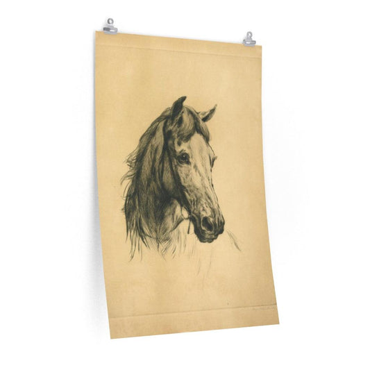 Horse's Head By Heywood Hardy Print Poster - Art Unlimited