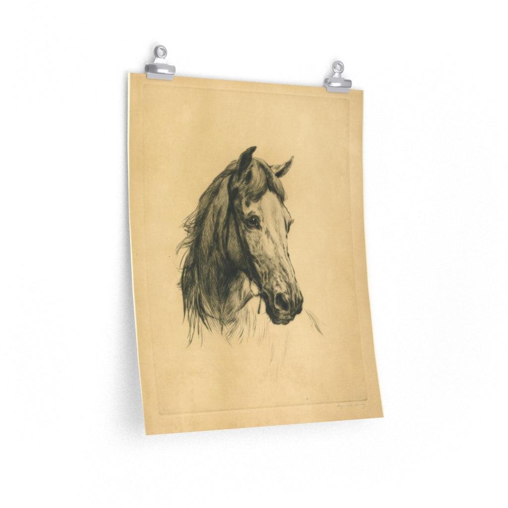 Horse's Head By Heywood Hardy Print Poster - Art Unlimited