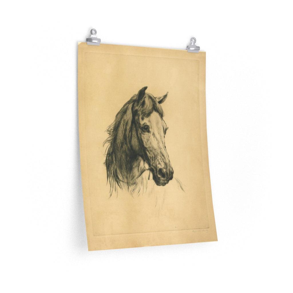 Horse's Head By Heywood Hardy Print Poster - Art Unlimited