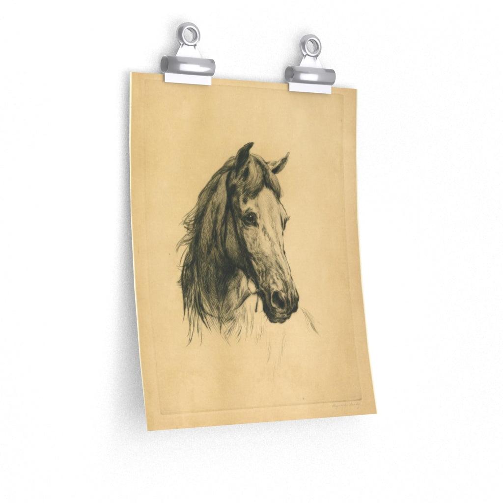 Horse's Head By Heywood Hardy Print Poster - Art Unlimited