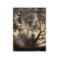 Live Oaks And Palmetto Everglades Florida 1886 - Vintage Photo By George Barker Print Poster - Art Unlimited